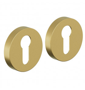 AR-7CL, цвет: SGold