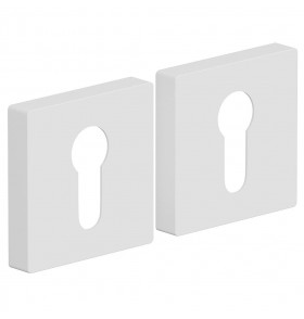 AS-6CL, цвет: SWhite
